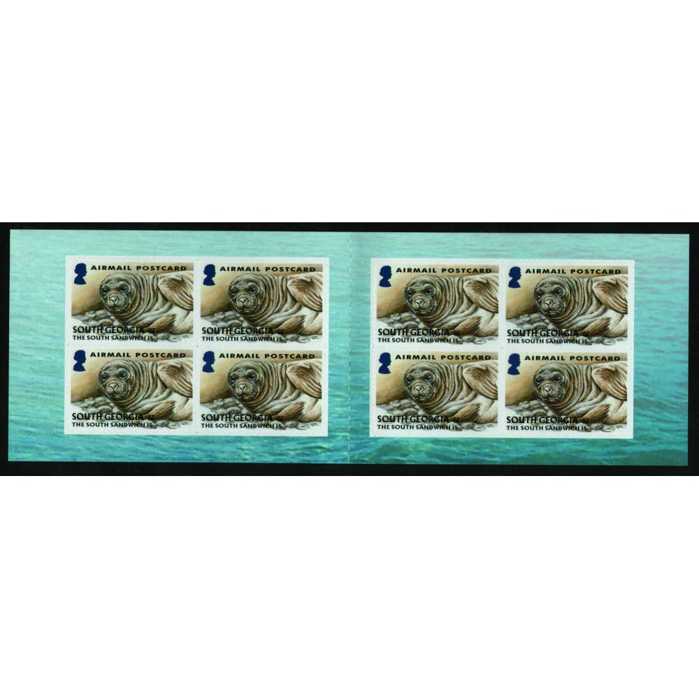 Carnet Elefante Marino